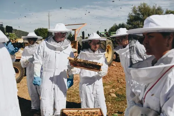 Beekeeper Xperience