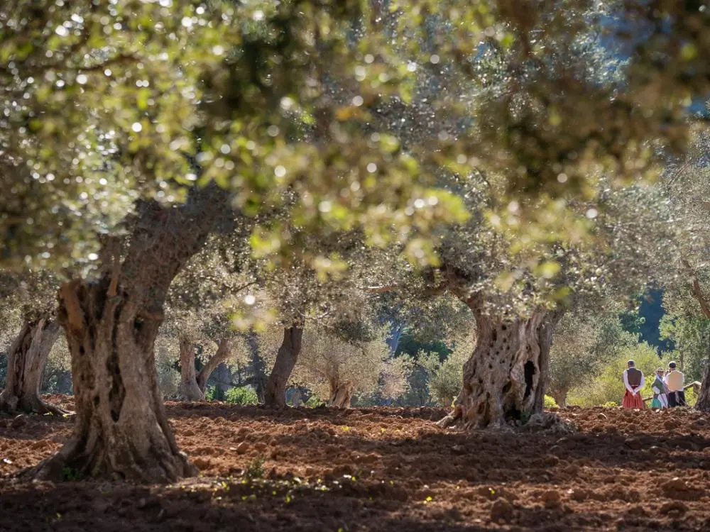 Artisan products Mallorca