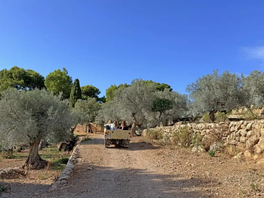 AuthenticMallorca LifeXperiences 6