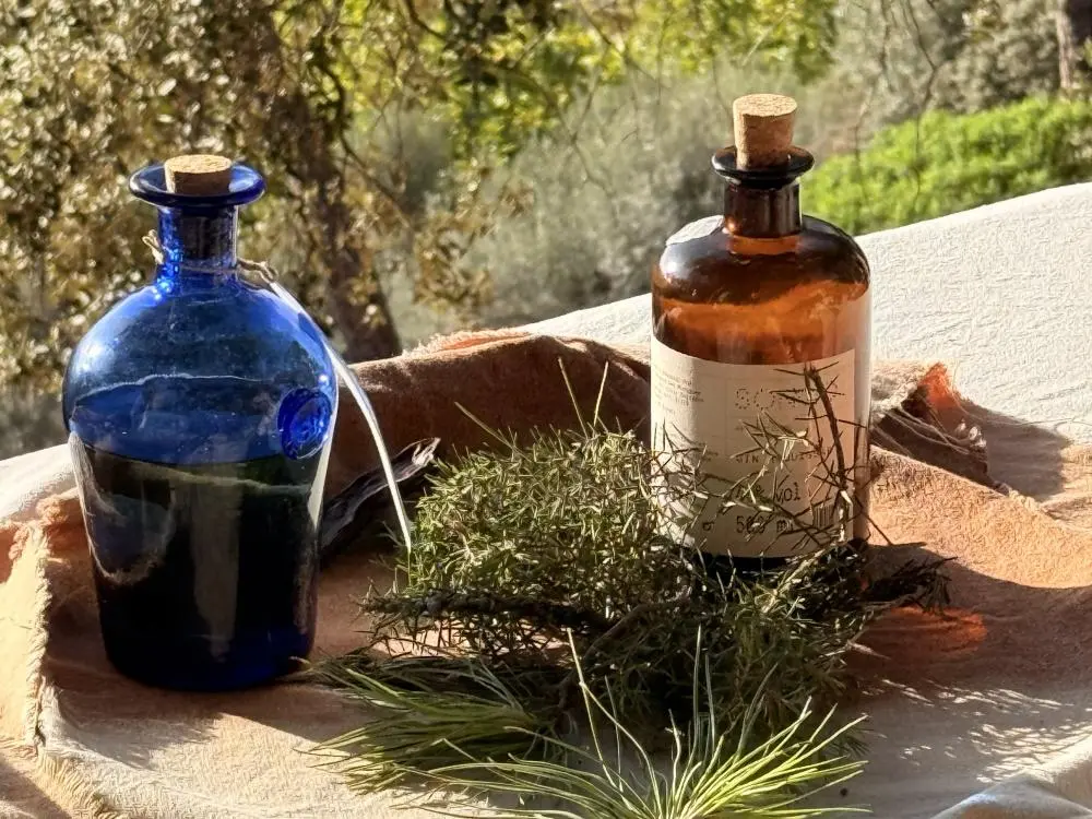 AuthenticMallorca LifeXperiences 7