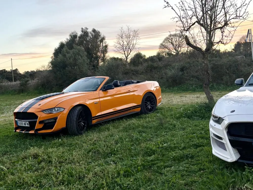 Cabrio Rally Incentives Mallorca