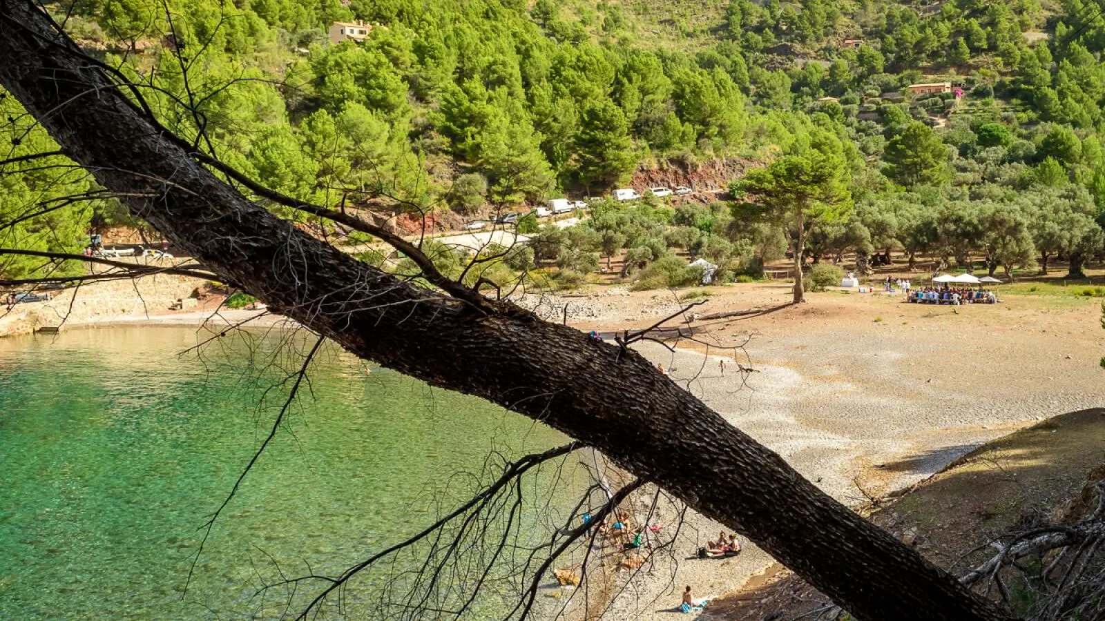 Coaching Eventagentur Mallorca3