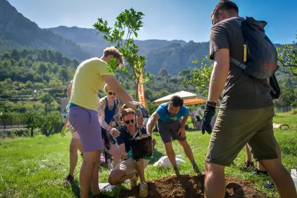 Tree Planting Ibiza