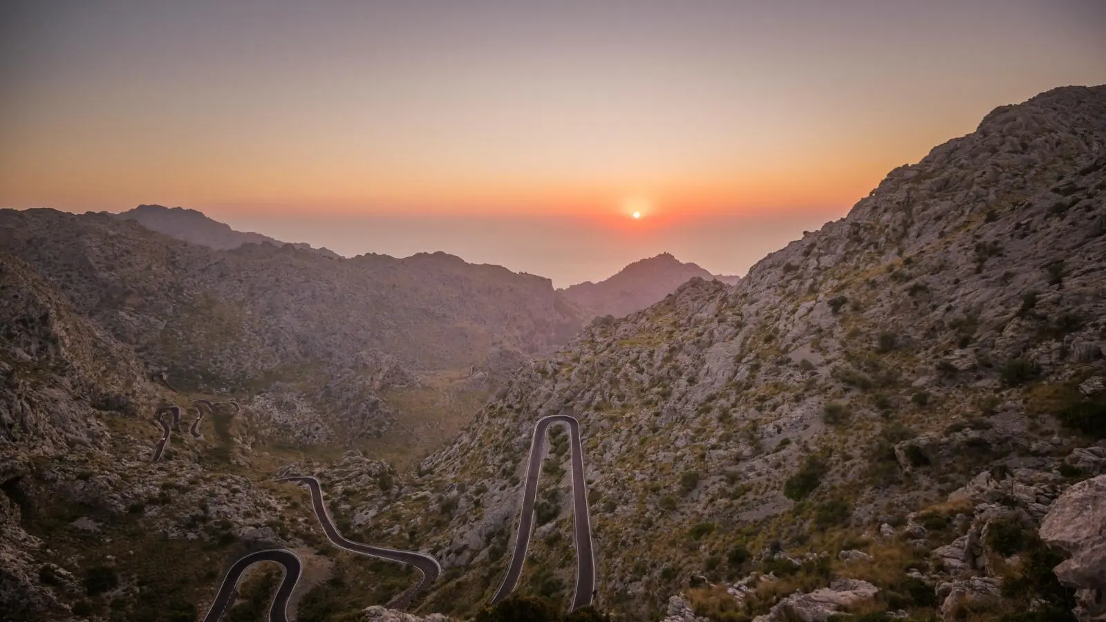 IKIGAI Workshop Ibiza