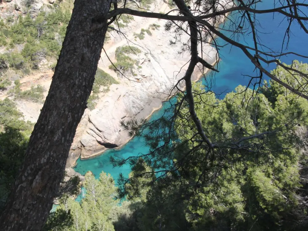 Wunderschöne Bucht auf Mallorca