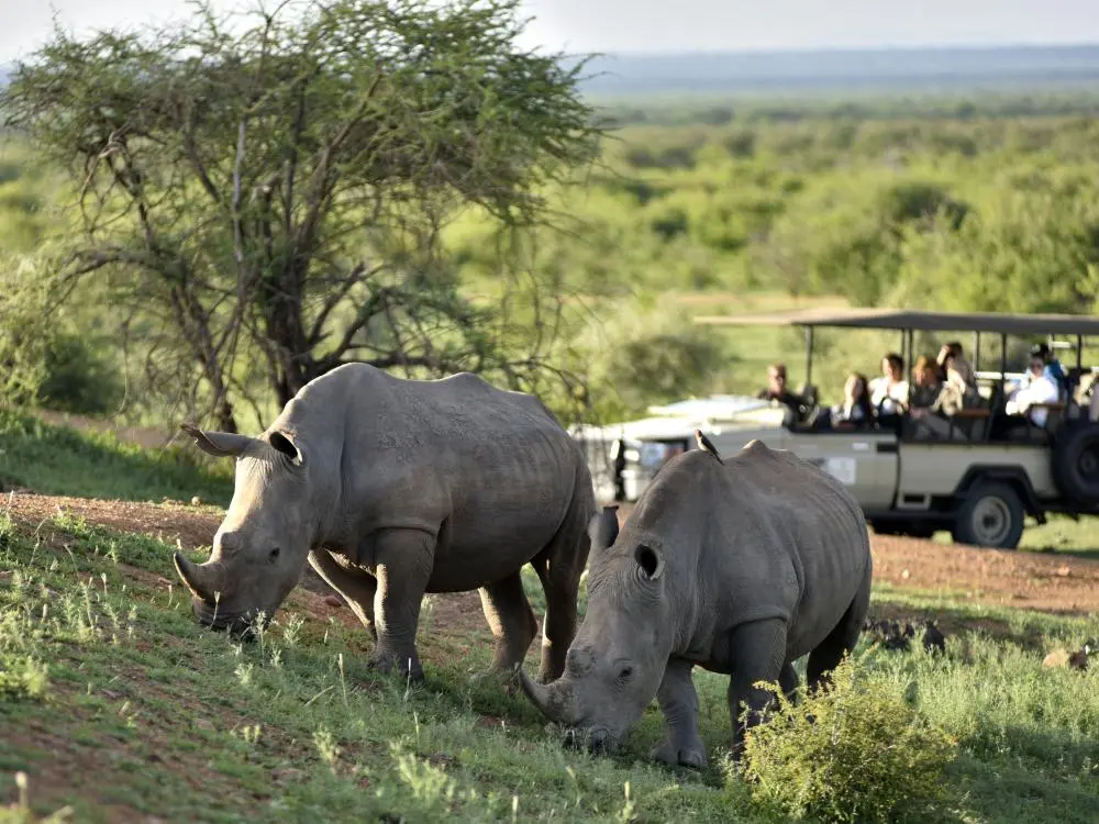 Incentive Southafrica