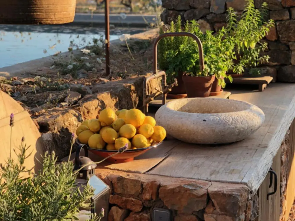 Abendessen Gemüsefarm
