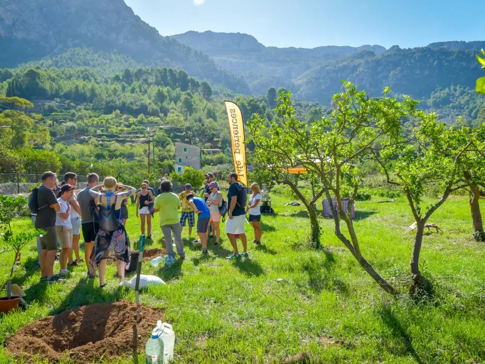 Mallorca Inventives CSR