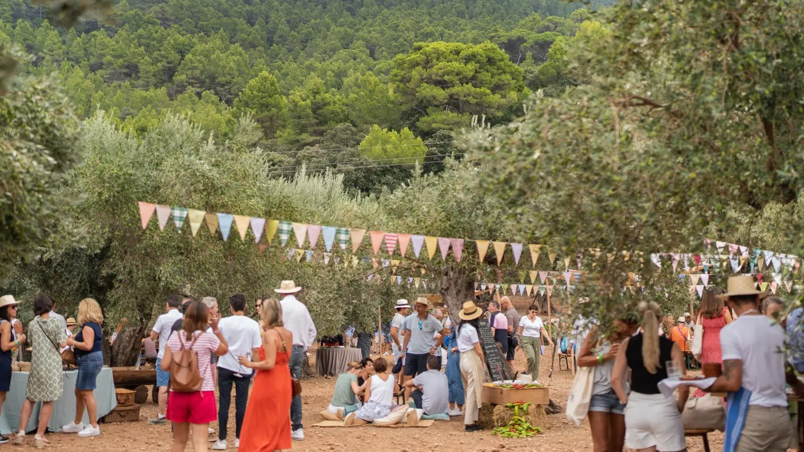 Mallorquinische Markt-Xperience