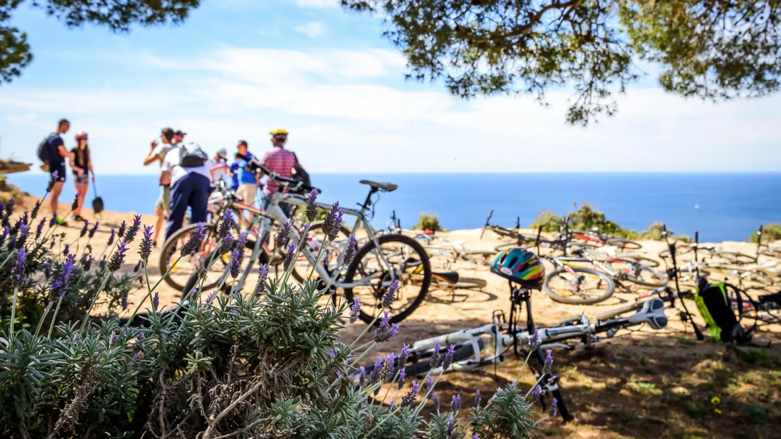 Mountainbike Tour Ibiza