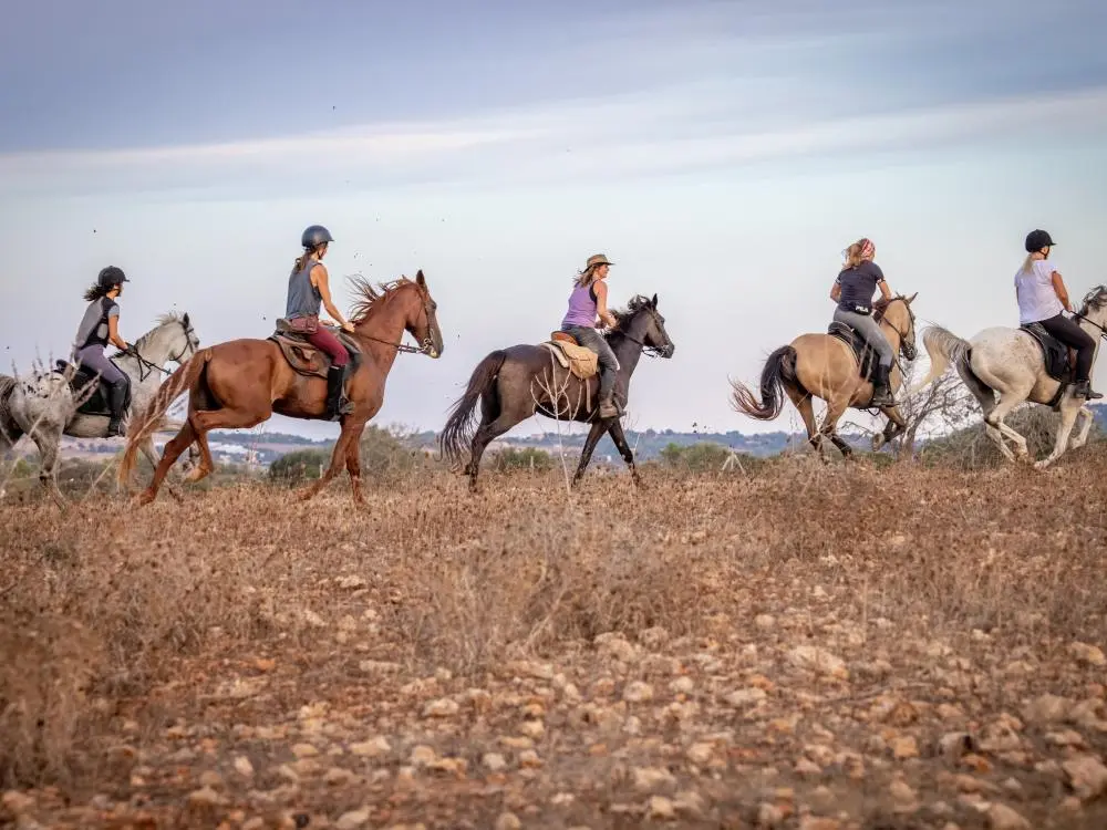 Reiten auf Mallorca