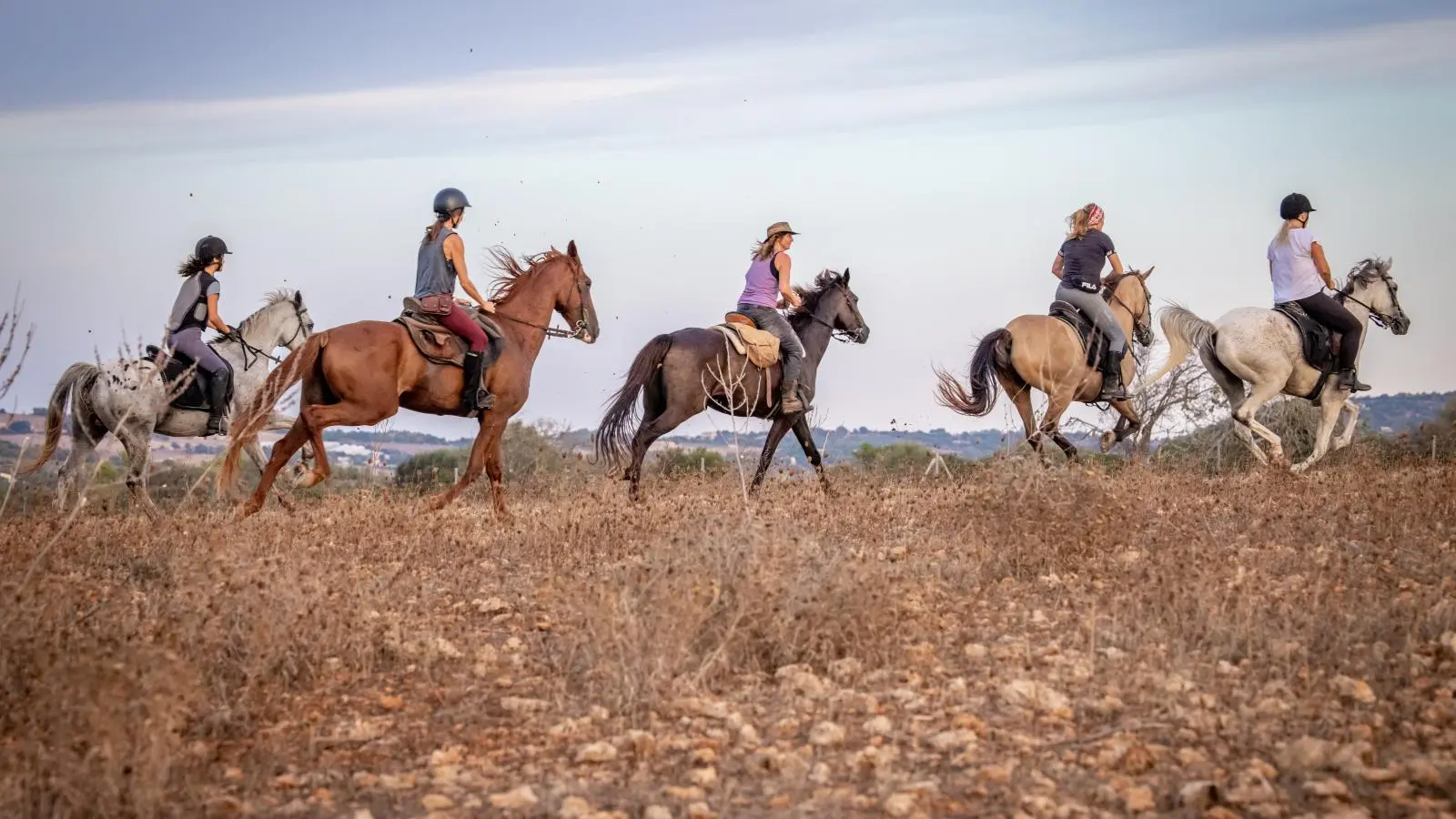 Reiten auf Mallorca