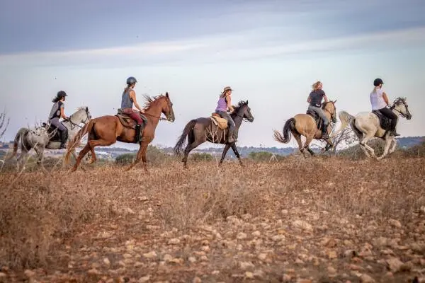 Reiten auf Mallorca
