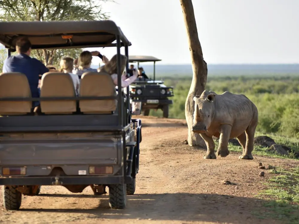 South Africa Incentive