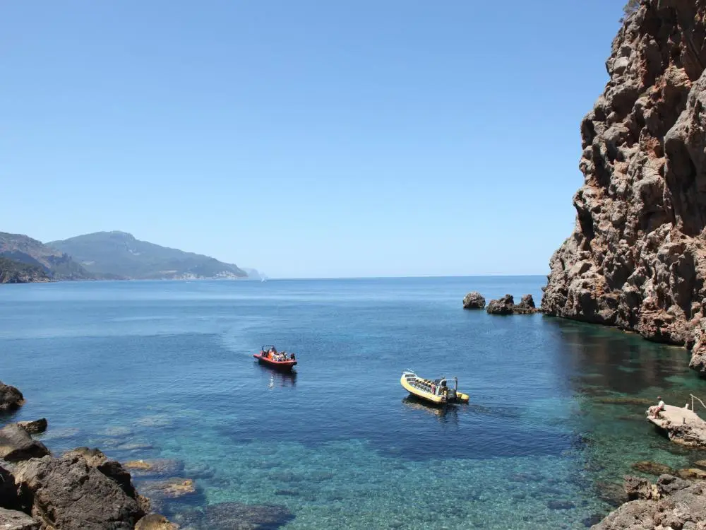 Speedboot Tour Natur