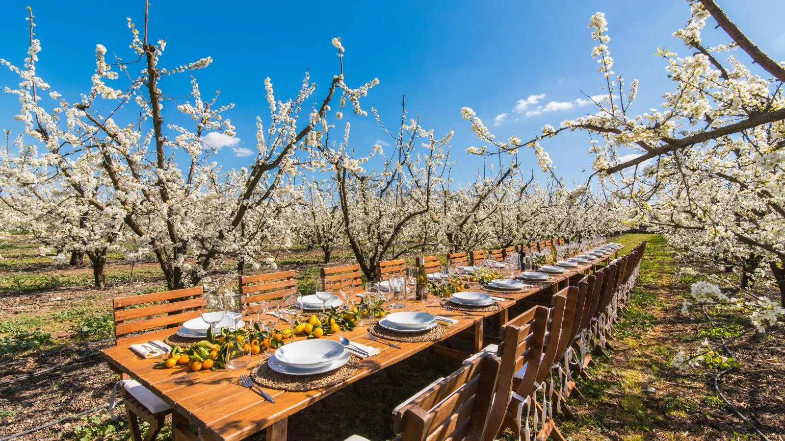 Zero Km Food Xperience Ibiza