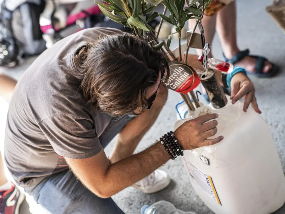 Upcycling Ibiza