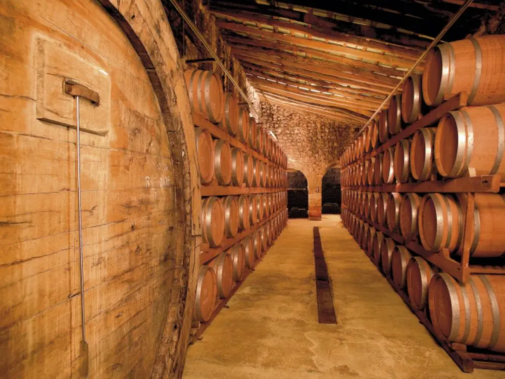 Weinprobe Experience