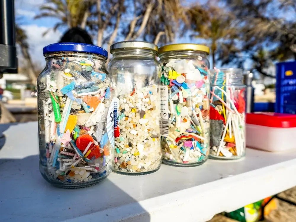 beachclean8